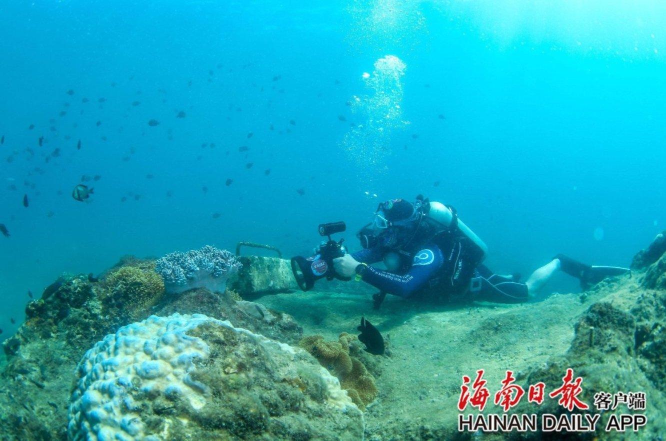 《名侦探柯南》30周年 连载作品将迎来终极完结